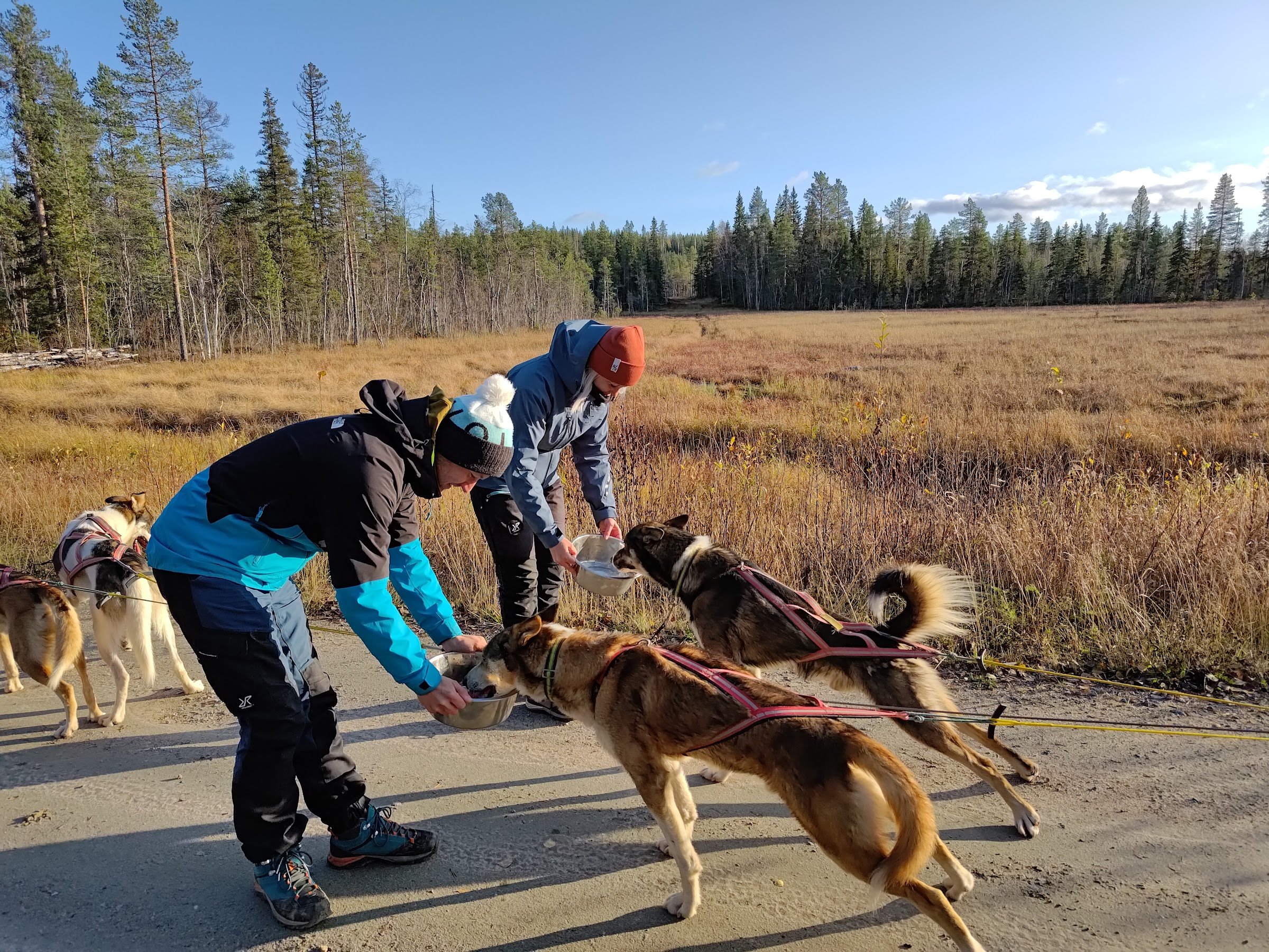 Yellow Snow Husky Tours